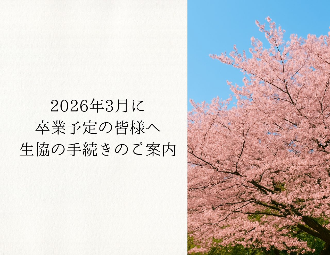 2026年3月に卒業予定の皆様へ　生協の手続きのご案内